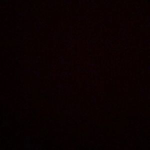 Meet your Posher, Tessa